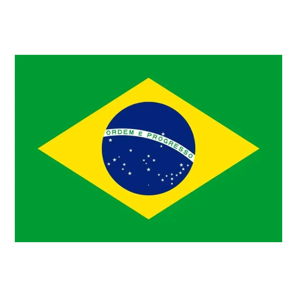 Brasilien Flagge 90x150cm